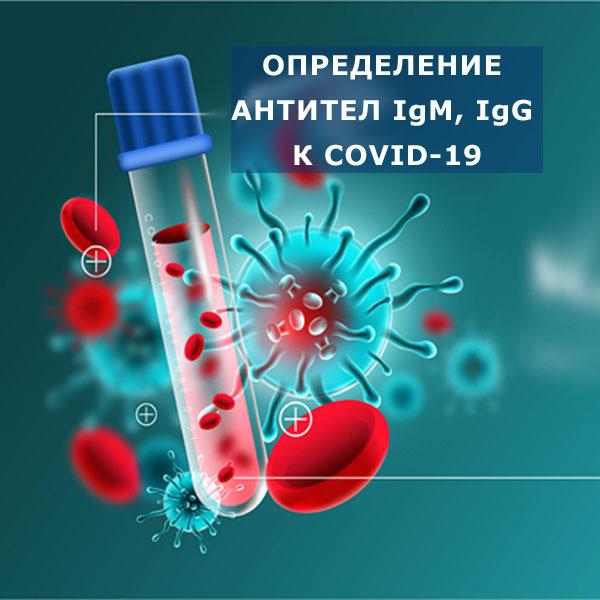 Тестирование на антитела к Covid-19